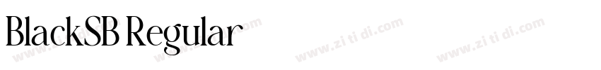 BlackSB Regular字体转换 BlackSB Regular字体转换